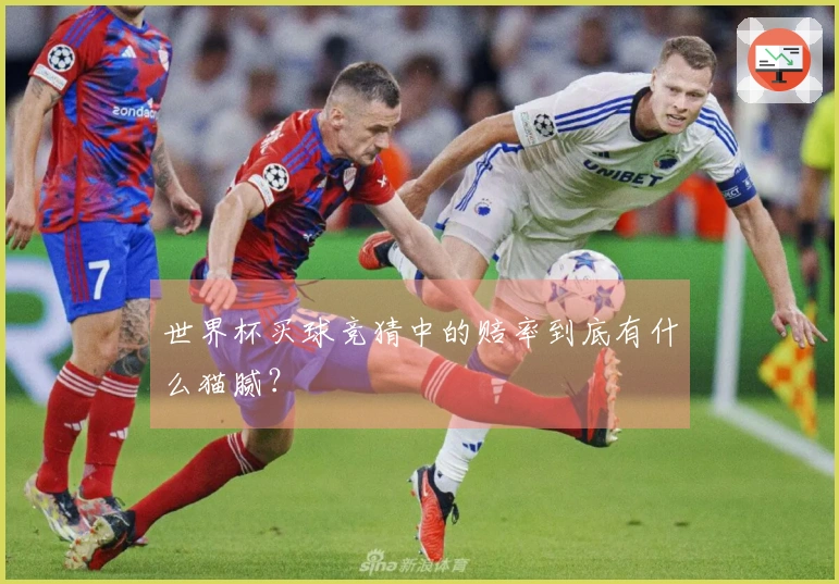 世界杯买球竞猜中的赔率到底有什么猫腻？
