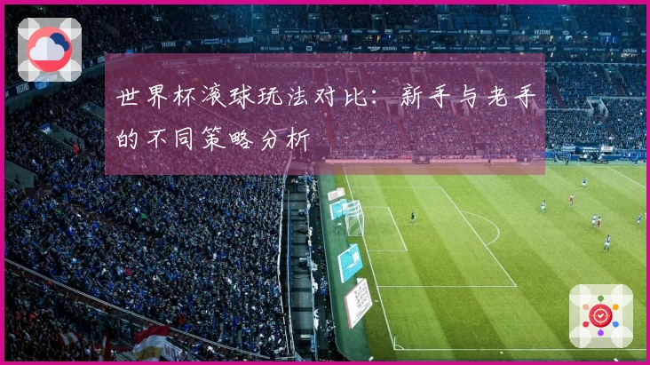 世界杯滚球玩法对比：新手与老手的不同策略分析