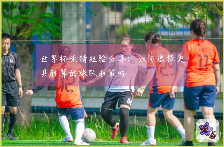世界杯竞猜经验分享：如何选择更具胜算的球队和策略