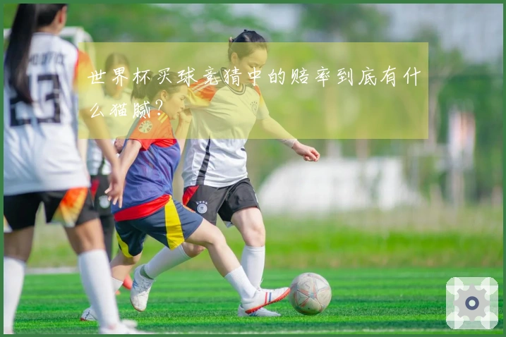 世界杯买球竞猜中的赔率到底有什么猫腻？