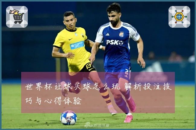 世界杯让球买球怎么玩 解析投注技巧与心得体验