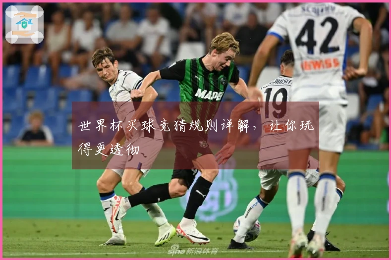 世界杯买球竞猜规则详解，让你玩得更透彻