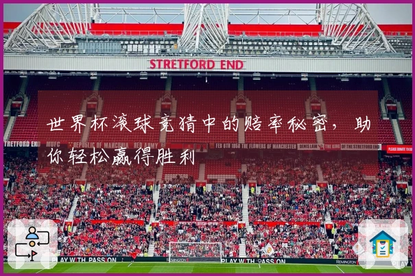 世界杯滚球竞猜中的赔率秘密，助你轻松赢得胜利
