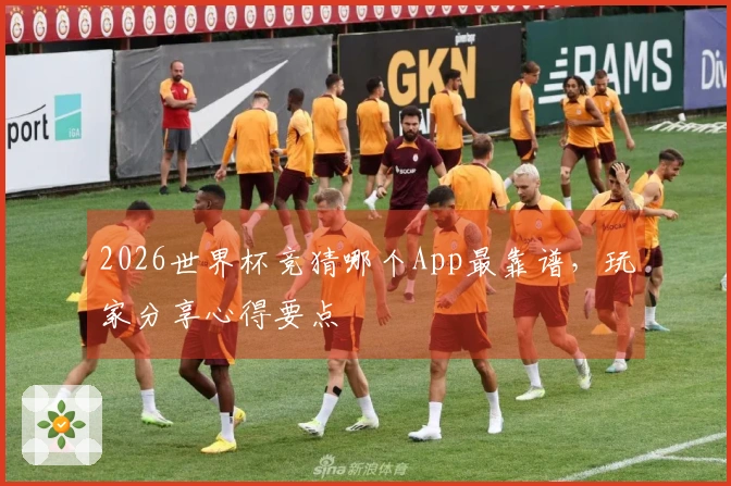 2026世界杯竞猜哪个App最靠谱，玩家分享心得要点