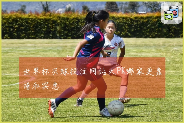 世界杯买球投注网站大PK哪家更靠谱和实惠