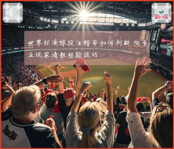 世界杯滚球投注赔率如何判断 向专业玩家请教经验技巧
