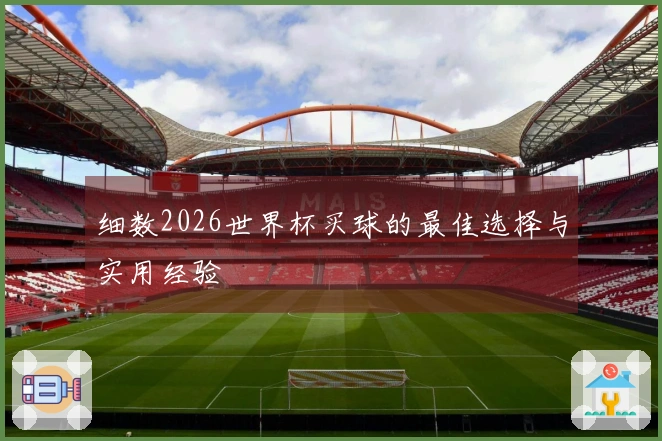 细数2026世界杯买球的最佳选择与实用经验