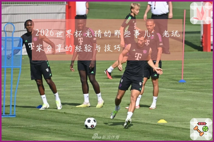 2026世界杯竞猜的那些事儿：老玩家分享的经验与技巧
