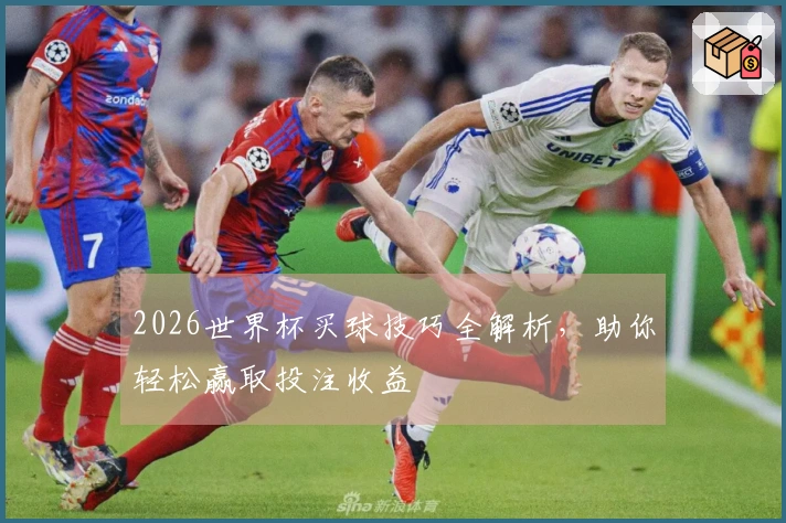 2026世界杯买球技巧全解析，助你轻松赢取投注收益