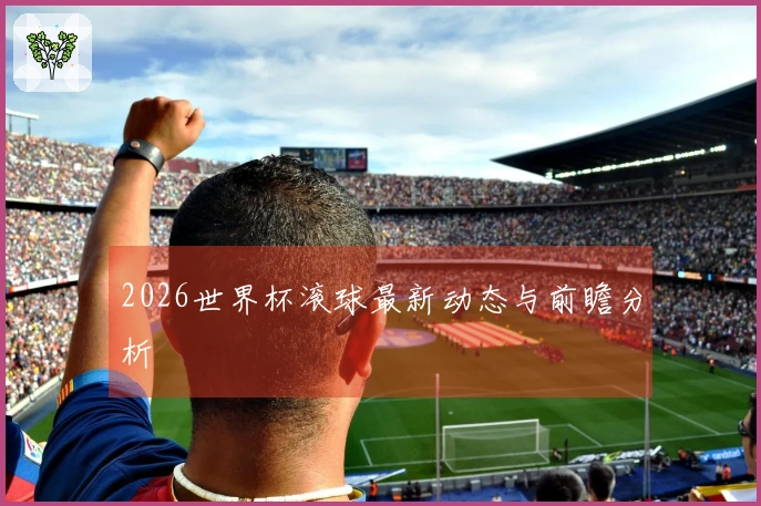 2026世界杯滚球最新动态与前瞻分析
