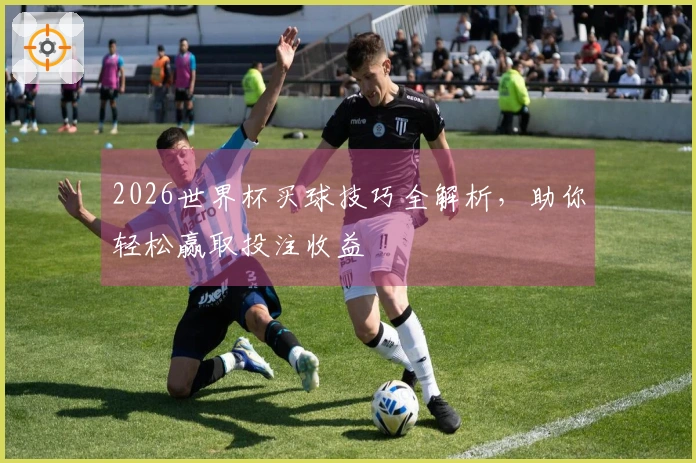 2026世界杯买球技巧全解析，助你轻松赢取投注收益