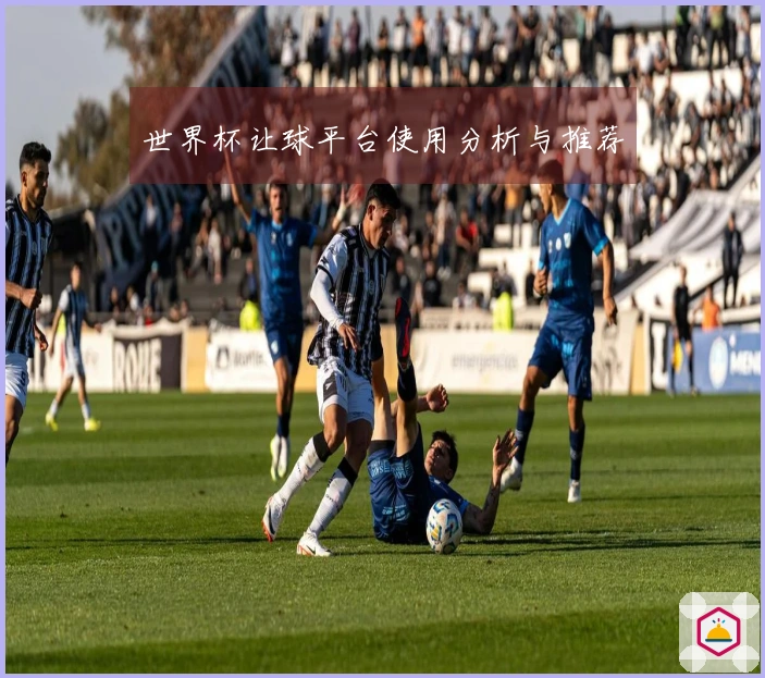 世界杯让球平台使用分析与推荐