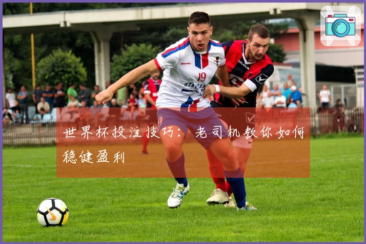 世界杯投注技巧：老司机教你如何稳健盈利