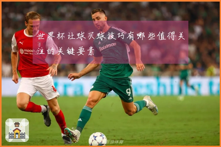 世界杯让球买球技巧有哪些值得关注的关键要素