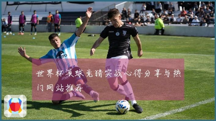 世界杯滚球竞猜实战心得分享与热门网站推荐