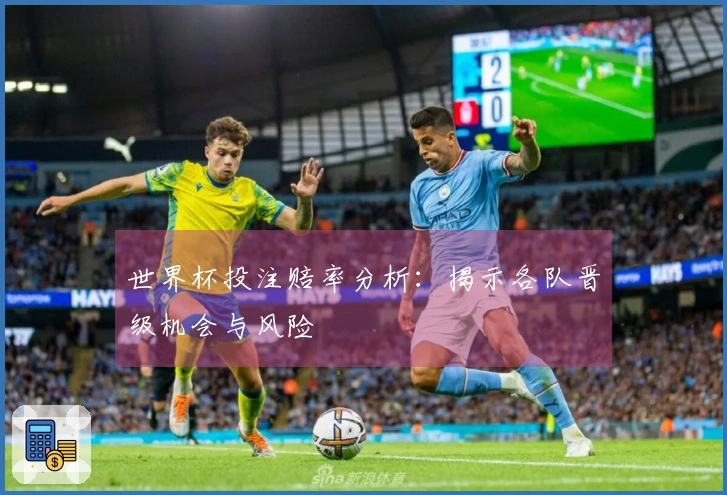 世界杯投注赔率分析：揭示各队晋级机会与风险