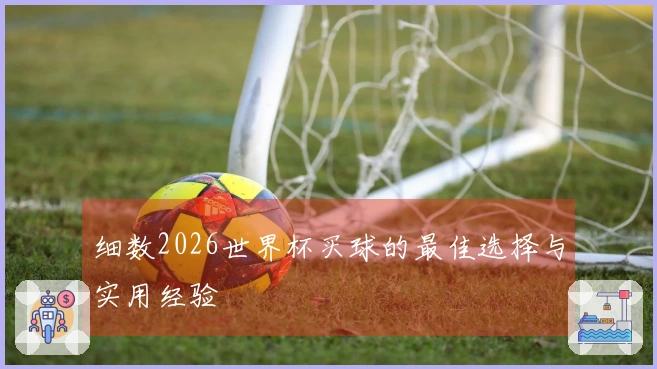 细数2026世界杯买球的最佳选择与实用经验