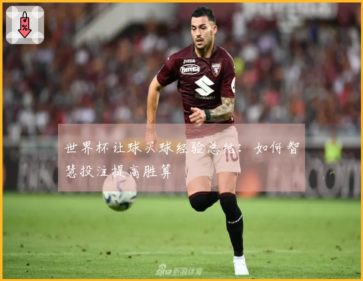 世界杯让球买球经验总结：如何智慧投注提高胜算