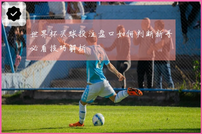 世界杯买球投注盘口如何判断新手必看技巧解析