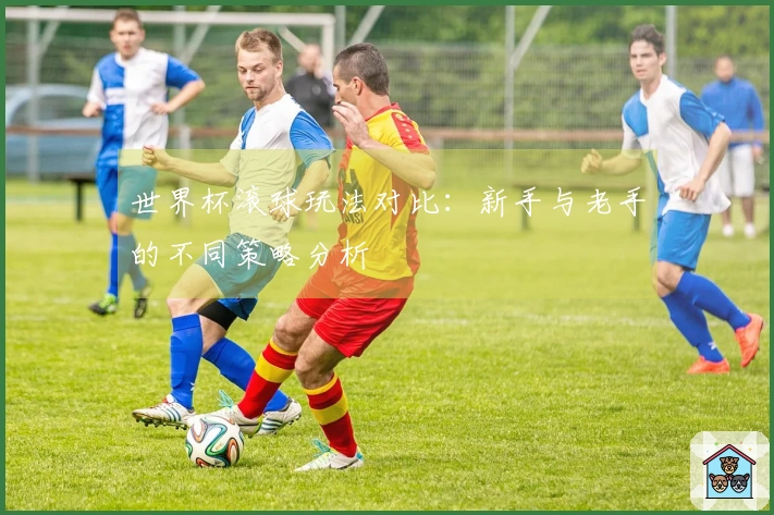 世界杯滚球玩法对比：新手与老手的不同策略分析