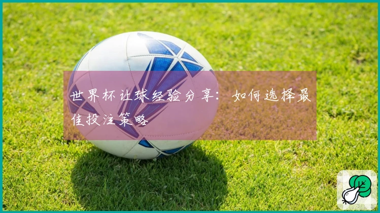 世界杯让球经验分享：如何选择最佳投注策略