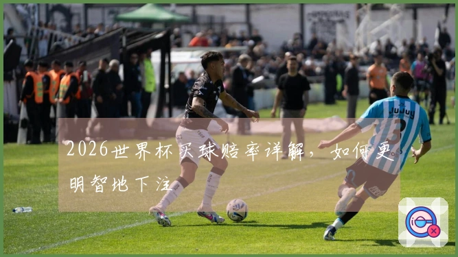2026世界杯买球赔率详解，如何更明智地下注