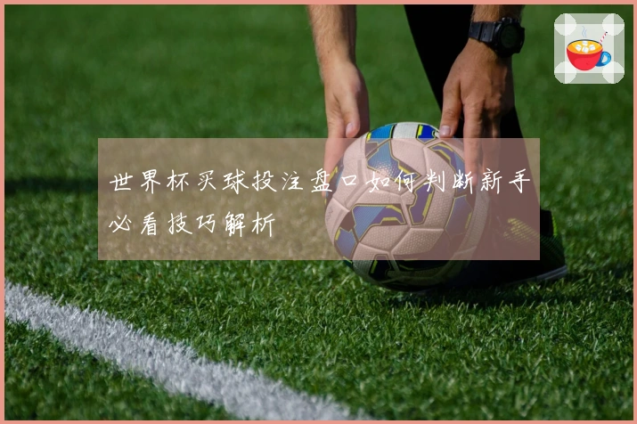 世界杯买球投注盘口如何判断新手必看技巧解析