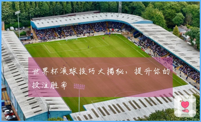 世界杯滚球技巧大揭秘，提升你的投注胜率